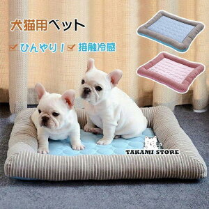 xbg ėp Ђ ⊴  􂦂 ybgxbg \t@[   ܂ Q Lxbh ^ ^ ڐG⊴ ybgpi  xbg