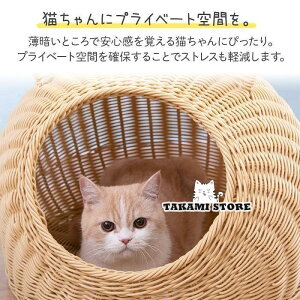 L  LbgnEX   ^ Lpxbh L JS ybgxbh  oXPbg ˂ Q ҂ L~~ `O