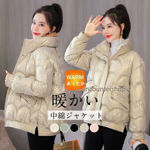 ȃWPbg fB[X ȃR[g u] _EWPbg V[g LeBOR[g t[ht H~ h  y g ؍