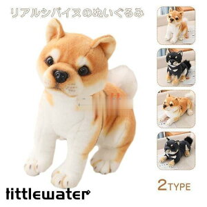 ʂ݁@ʁ@Ck@@A@@킢@ӂӂ @CeA@j@av[g20cm