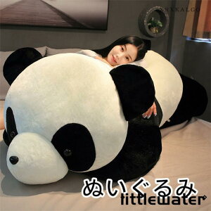 ʂ  􂦂 q xr[ l LbY WjA  p_ 傫 킢  q̓ v[g