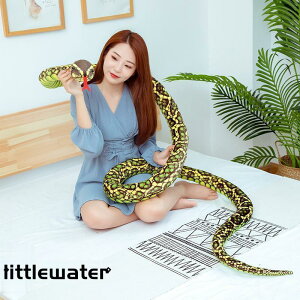 ʂ wr 傫 ւ A   q Mtg a v[g3m