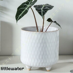 Aؔ  v^[ ی` LTCY t[ eRb^ cȂ  ꌊ  k gCȂ oRj[ Vv Jo[ A ^