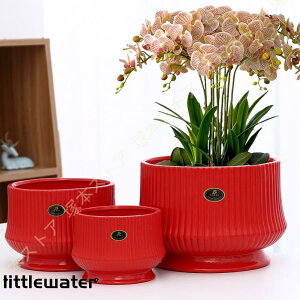 v^[ ϗtA t[|bg k Vv rt vX`bNgCt ʋC XgCv CeA ~`  NGCeBu 