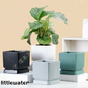 A k Z~bN v^[ ꌊt ʋC Vv NGCeBu A ` c |pi K[f v[g u  K[f