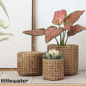 A A Zg ꌊt  | K[f v[g g K[fjOpi oRj[ ҂񂾒|̊Oς͂ K[f|bg