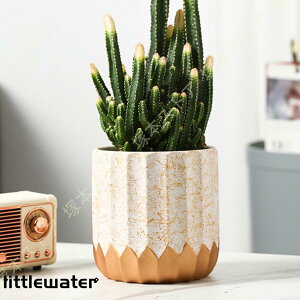 퐻 A v^[ 픫 ꌊt ʋC Vv k Ap CeA ی` fXN̑   | [ fXNgbv~