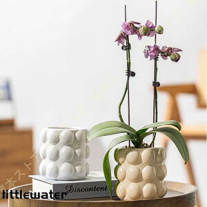 v^[ A eRb^ 픫 ꌊt Vv k NGCeBu  ی` oRj[ z[ItBX  K[fjOpi