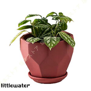 v^[ 퐻 k ɐ Vv ʋC ~`  ~ Ԋ a ins  K[fjOpi ی` Z~bN A K[f