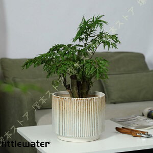 A t[|bg Z~bN k rEt ʋC vgCt Vv ~` Of[V  c n[u K[f |