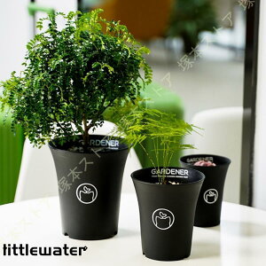 A c|bg vX`bN A ꌊ ƒp  z[ K[f Op IV O  Vv oRj[  