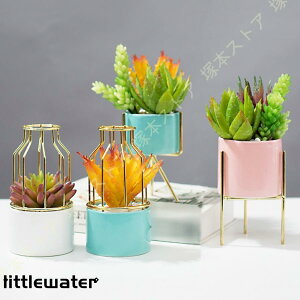 lHϗtA A ~j tFCNO[  CeA AA  񂽂₵ K[fjO bsv fR[V  Aؔ