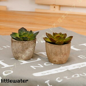 lHA ~j AA ͂Ȃ  Aؔ ϗtA  z[  fR[V Z~bN ItBX  Q rO[ oX[