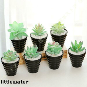 tFCNO[ A lHϗtA CeA  z[   Lb` oRj[ lHA ~j AA ͂Ȃ Aؔ