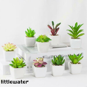 tFCNO[ lHϗtA ~j lHA CeA bsv ~j AA ͂Ȃ Aؔ ϗtA  z[  fR[V