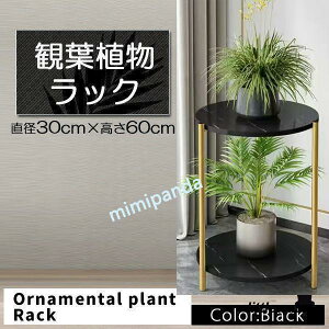 t[X^h v^[ X^h v^[X^h ubN  ϗtA  k  Aؔ悹 bN ԑ ϗt A I  