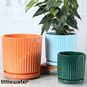 T{e A|bg v^[ 픫 [bp Aؔ Z~bN ꌊt gČ^ c Vv NGCeBu 㑕 