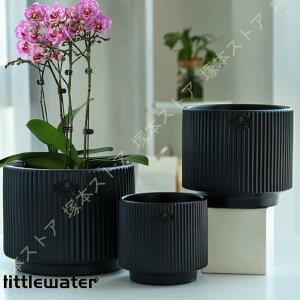 T{e A|bg v^[ 픫 [bp Aؔ Z~bN ꌊt gCt ی` Vv cȂ 㑕  ʋC