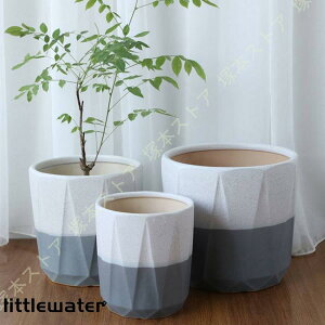 A v^[ Z~bN ɐ k Vv ʋC  [bp   ^ oRj[ |pi IV rO