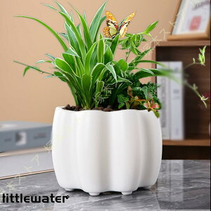 v^[ A eRb^ 픫 ꌊt Vv k NGCeBu  oRj[ z[ItBX  K[fjOpi fXNgbv~