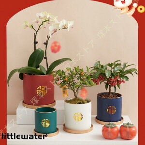 픫 A 퐻 gCt 11cm 14cm |pi K[f v[g k zCg K[fjOpi oRj[ 17cm K[f|bg 蕨 Aؔ