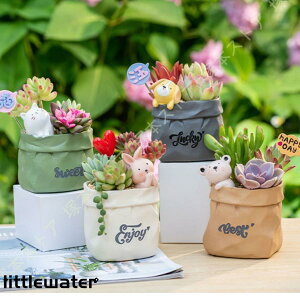 T{e A  ETM  |pi K[f v[g k  K[fjOpi oRj[ NGCeBu K[f|bg 蕨 Aؔ