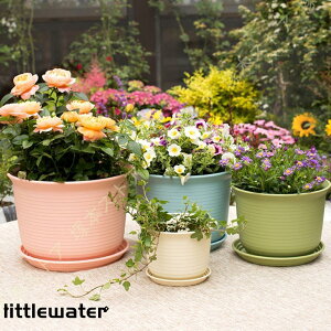 Av^[ Aؔ  ɐ  | K[f v[g  x[W O[ K[fjO oRj[ Mt