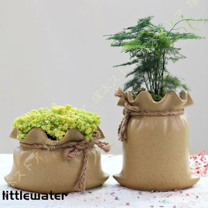 T{e A 퐻 z܌^  |pi K[f v[g re[W K[fjOpi oRj[ NGCeBu K[f|bg 蕨