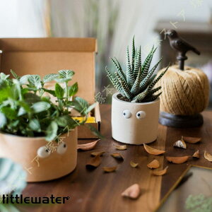 A A Zg ꌊt  | K[f v[g g ̐Fł K[fjOpi oRj[ ږGO K[f|bg 蕨