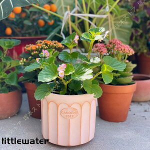 eRb^ A T{e ~͔ [bp Vv ʋC ꌊt t@bV ~` gCt  g CeA  