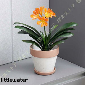 T{e A|bg v^[ 픫 [bp Aؔ Z~bN ꌊt ی` gCt Vv 㑕  ʋC Ap