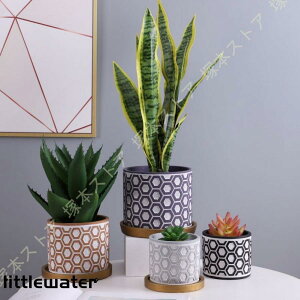 多肉植物鉢 セメント製 サボテン鉢 ヨーロッパ調 円形 底穴付き 植木鉢 クリエイティブ 受皿付き 多肉植物 サボテン 観葉植物 ハーブ 花栽培適用 置物