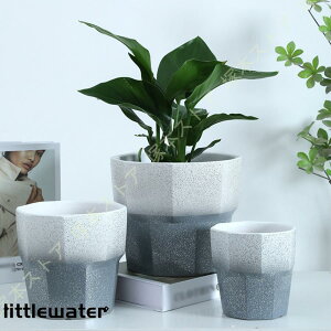 v^[ A 픫 v^[  Vv ɐ vX`bN̎Mt  K[fjOpi NGCeBu Vbv