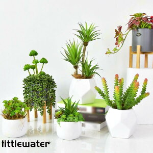 tFCNO[ lHϗtA A ~j Aؔ  CeA AA  񂽂₵ K[fjO bsv fR[V 