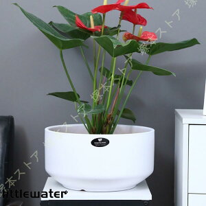 퐻 A Vv ی` a Aؔ v^[ A ꌊ vX`bN̎Mt ʋC T{e ACfAAؔ fXNgbv~