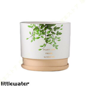 Aؔ v^[ k Vv ꌊt 2_Zbg Mt |bg Z~bN ~` AAؔ A T{e fXN̑ NGCeBu