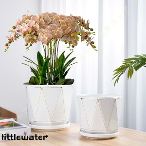 Aؔ eRb^ k Vv ꌊ ~` ʋC Mt NGCeBu oRj[̑ K[f|bg t[|bg A 뉀̑