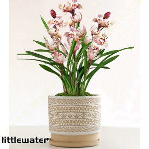 A Aؔ eRb^ ꌊt H12cm 14cm ϗtA K[f  k ~`  O rEt gCt ~j Vv