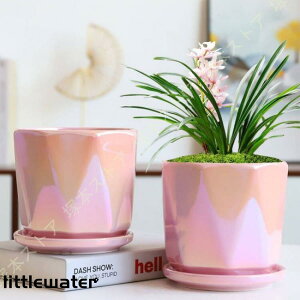 多肉植物鉢 植木鉢 テラコッタ 底穴付き H12cm 14cm 観葉植物 ガーデン おしゃれ 北欧 円筒形 部屋飾り 屋外 排水孔付き トレイ付き ミニ鉢 シンプル