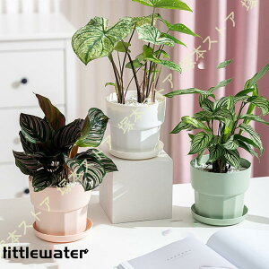 A v^[ Aؔ v ɐ 3Zbg | K[f v[g  sN O[ K[fjO oRj[ Mt