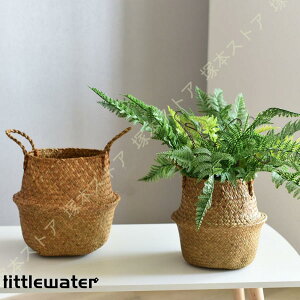 Jo[ ϗtA Ԕ A Aؔ  TCY oXPbg [  ܂肽 |bg Xg[oXPbg  CG[ (M) ^ ^