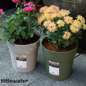 ϗtAv^[ Aؔ  vX`bN 傫 | K[f v[g  FIׂ K[fjOpi oRj[ ɐ