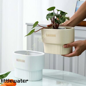 T{e Aؔ A k Z~bN Vv ꌊt ʋC t@bV  |pi e[ȗ  NGCeBu 