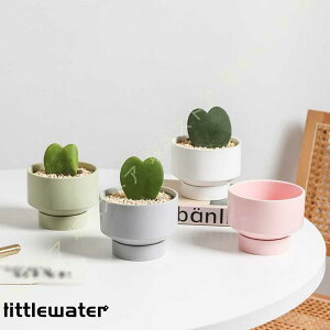 Aؔ A 퐻 Vv ی` ꌊ [bp Mt ʋC CeA    㑕i K[f u 