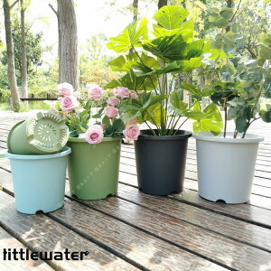 k v^[ Aؔ  Vv K[f|bg ꌊ ʋC y Mt ACfA A [NVbv oRj[ ͔|