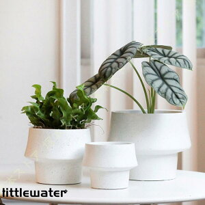 A k Vv Zg A AAؔ rEt gCt a ʋC T{e|bg [bp K[f|bg CeA 