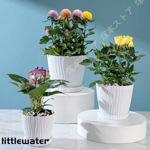 Aؔ ϗtA vX`bN 3 k Mt rt Vv IV ʋC ~` v^[ ϗtA O 뉀 ؉ K[f