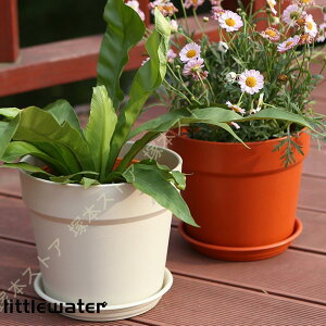 c|bg Aؔ Jo[ vX`bN Vv k ɐ ʋC ~` CeA AA  o̖ Jo[ [bp