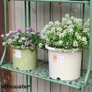 Aؔ A c|bg vX`bN rEt Mt 2Zbg k  Vv oRj[ CeA   Xg 