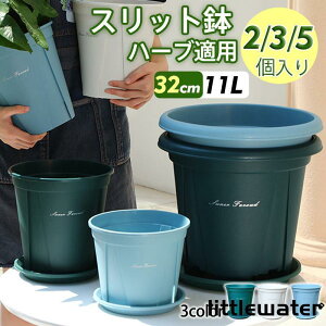 Aؔ v^[ v 󂯎Mt 32cm 23 5 11L 10 ϗtA rt k   3F \bh